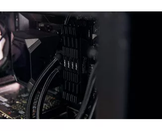 Оперативна пам'ять DDR4 16 Gb (3200 MHz) (Kit 8 Gb x 2) Kingston Fury Renegade Black (KF432C16RB2K2/16)