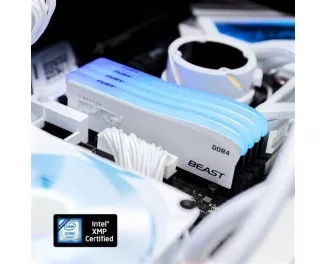 Оперативная память DDR4 16 Gb (3600 MHz) Kingston Fury Beast RGB Special Edition White (KF436C18BWA/16)