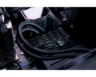 Оперативная память DDR4 16 Gb (3600 MHz) (Kit 8 Gb x 2) Kingston Fury Renegade Black (KF436C16RB2K2/16)