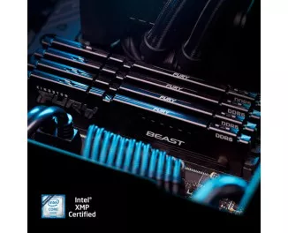 Оперативна пам'ять DDR5 32 Gb (5200 MHz) (Kit 16 Gb x 2) Kingston Fury Beast Black (KF552C36BBEK2-32)