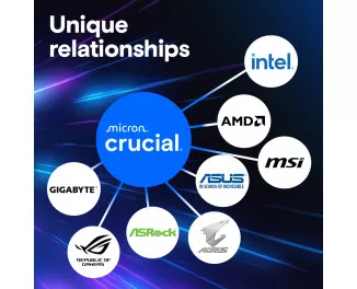 Оперативная память DDR5 48 Gb (5600 MHz) Crucial Pro (CP48G56C46U5)