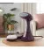 Отпариватель Russell Hobbs Steam Genie Colour Control 27410-56