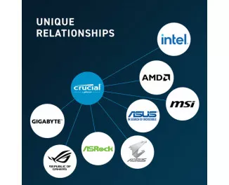 Память для ноутбука SO-DIMM DDR5 12 Gb (5600 MHz) Crucial (CT12G56C46S5)