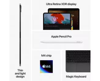 Планшет Apple iPad Pro 11 2024 Wi-Fi + Cellular 1TB Space Black (MVW53)