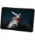 Планшет UleFone RugKing Pad 2 Pro LTE 8/256GB Black