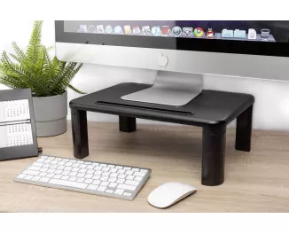 Подставка для монитора DIGITUS Ergonomic Monitor Riser (DA-90458)