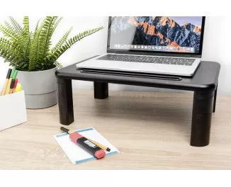 Подставка для монитора DIGITUS Ergonomic Monitor Riser (DA-90458)