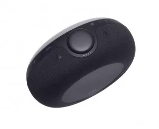 Портативна колонка JBL Horizon 2 Black (JBLHORIZON2BLK)