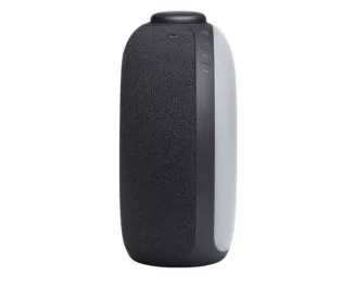 Портативна колонка JBL Horizon 2 Black (JBLHORIZON2BLK)