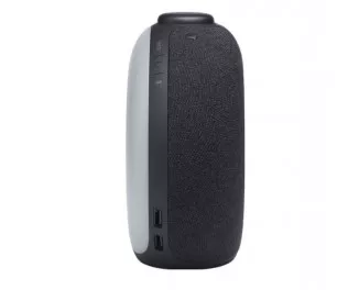 Портативна колонка JBL Horizon 2 Black (JBLHORIZON2BLK)