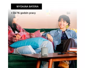 Портативная колонка Sony SRS-XB100 Grey (SRSXB100H.CE7)