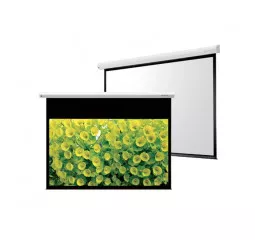 Проекционный экран GrandView CB-MP100(16:9)WM5