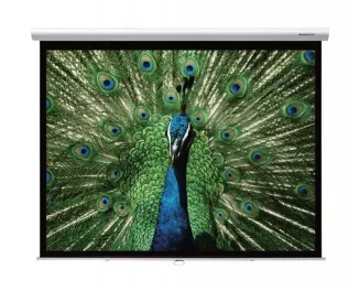 Проекционный экран GrandView CB-P150(4:3)WM5(SSW)
