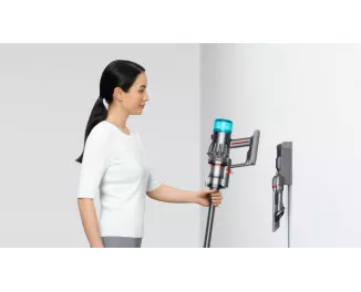 Пылесос Dyson V12 Origin (492711-01)