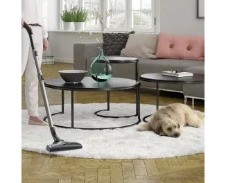 Пылесос Electrolux ESPC71DB