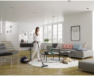 Пылесос Electrolux ESPC71DB