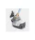 Пилосос Karcher DS 6 Plus (1.195-252.0)