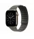 Ремешок для Apple Watch 42mm Apple Magnetic Link Sage Gray - M/L (MGDE4)