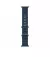 Ремешок для Apple Watch Ultra 49mm Apple Ocean Band Blue (MT633)