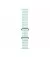 Ремешок для Apple Watch Ultra 49mm Apple Ocean Band Ice Blue - Natural Titanium Finish (MXTF3)