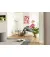 Робот-пилосос Karcher Homeline RCV5 (1.269-640.0)