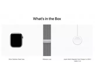 Смарт-годинник Apple Watch Series 9 GPS + Cellular 41mm Silver Stainless Steel Case with Silver Milanese Loop (MRJ43)