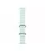 Смарт-часы Apple Watch Ultra 2 2024 GPS + Cellular 49mm Natural Titanium Case with Ice Blue Ocean Band (MYT03+MXTF3)