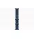Смарт-часы Apple Watch Ultra 2 GPS + Cellular 49mm Titanium Case with Blue Ocean Band (MREG3)