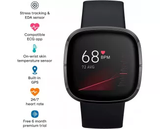 Смарт-часы Fitbit Sense Carbon/Graphite Stainless Steel (FB512BKBK)