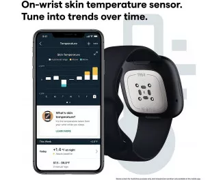 Смарт-часы Fitbit Sense Carbon/Graphite Stainless Steel (FB512BKBK)