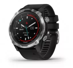 Смарт-часы GARMIN Descent Mk2 Stainless Steel with Black Band (010-02132-00/10)
