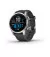 Смарт-часы GARMIN Fenix 7S Silver with Graphite Band (010-02539-00/01)