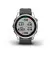 Смарт-часы GARMIN Fenix 7S Silver with Graphite Band (010-02539-00/01)
