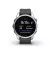 Смарт-часы GARMIN Fenix 7S Silver with Graphite Band (010-02539-00/01)