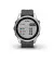 Смарт-часы GARMIN Fenix 7S Silver with Graphite Band (010-02539-00/01)