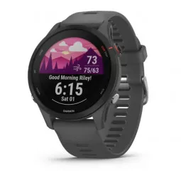 Смарт-часы GARMIN Forerunner 255 Slate Gray (010-02641-10)
