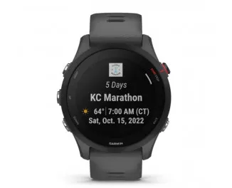Смарт-годинник GARMIN Forerunner 255 Slate Gray (010-02641-10)