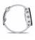 Смарт-годинник GARMIN Forerunner 955 Whitestone (010-02638-11/31)