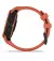 Смарт-годинник GARMIN Instinct 2S Standard Edition Poppy (010-02563-16)