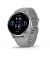 Смарт-часы GARMIN Venu 2 Plus Silver S. Steel Bezel w. Powder G. Case and S. Band (010-02496-00/10)