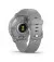 Смарт-часы GARMIN Venu 2 Plus Silver S. Steel Bezel w. Powder G. Case and S. Band (010-02496-00/10)