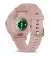 Смарт-часы GARMIN Venu 3S Soft Gold S. Steel Bezel w. Dust Rose Case and S. Band (010-02785-03)