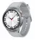 Смарт-годинник Samsung Galaxy Watch6 Classic 47mm Silver (SM-R960NZSASEK)