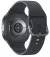 Розумний годинник Samsung Galaxy Watch8 40mm Graphite (SM-L320NDAASEK)