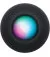 Смарт колонка Apple HomePod mini Midnight (MTJT3)