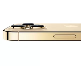 Смартфон Apple iPhone 13 Pro 1 Tb Gold (MLVY3)