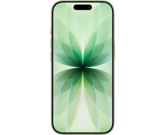 Смартфон Apple iPhone 17 256GB Sage (MG6N4)