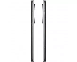 Смартфон OnePlus 12 16/512GB Silver