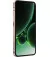 Смартфон Oukitel WP200 Pro 24/1TB Green