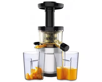 Соковыжималка шнековая Tefal ZC420E38